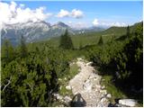 Passo Staulanza - Monte Pelmo